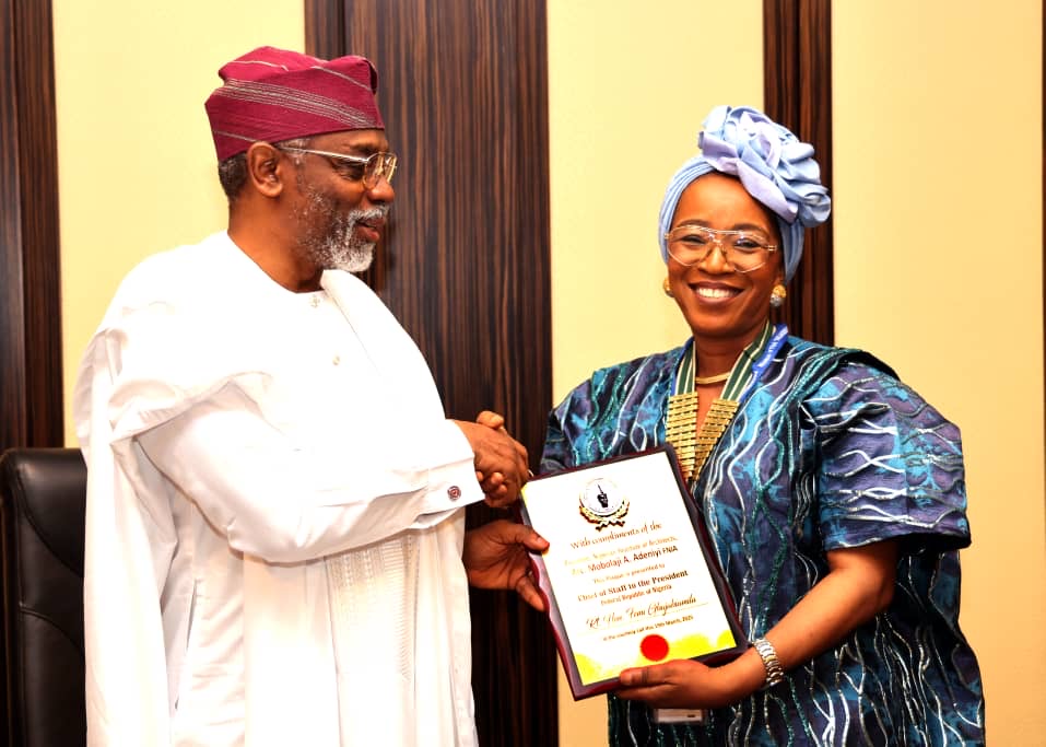well-collaborate-with-you-on-building-regulations-gbajabiamila-assures-nia.jpg