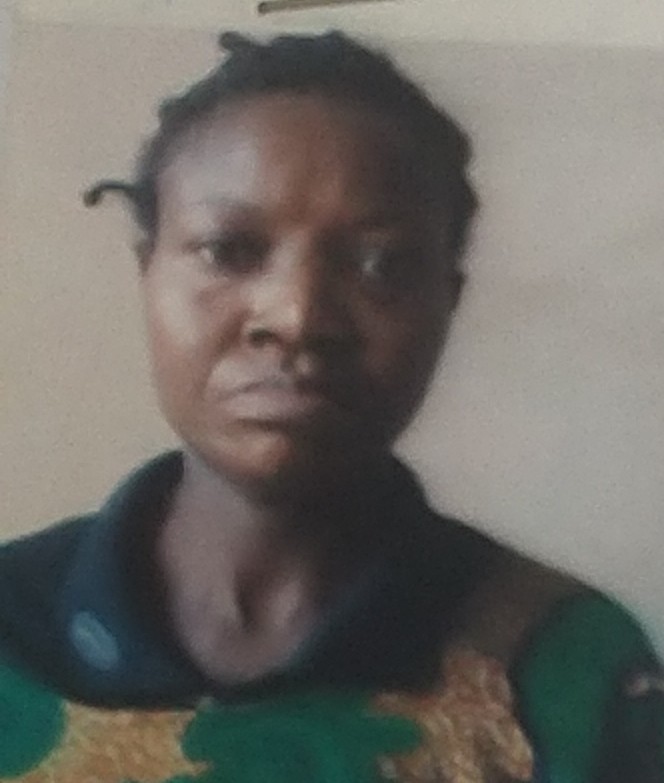 woman-55-docked-for-allegedly-stealing-3-year-old-boy.jpg