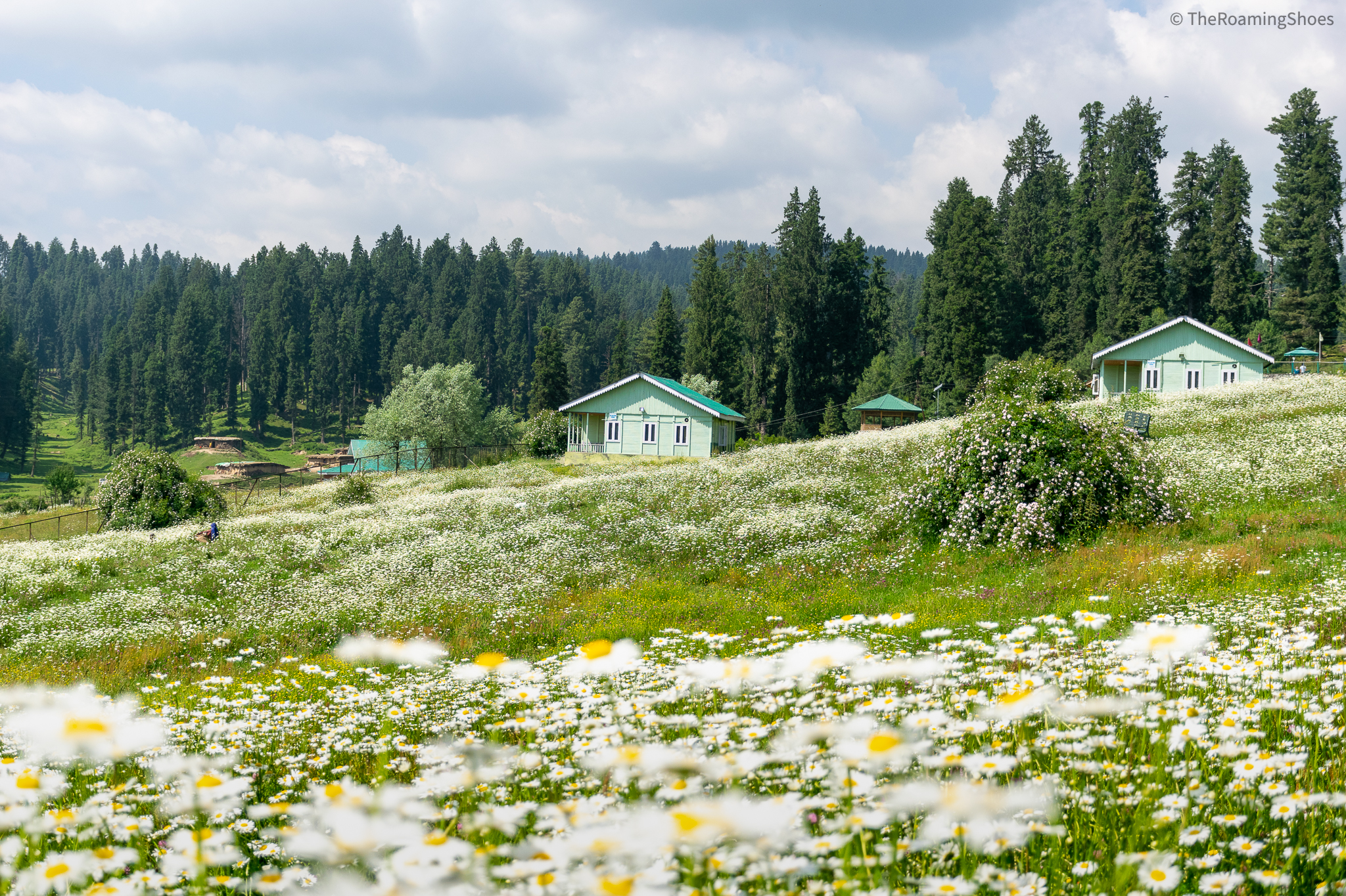 pahalgam-attack-fallout-48-tourist-spots-temporarily-closed-in-kashmir.jpg