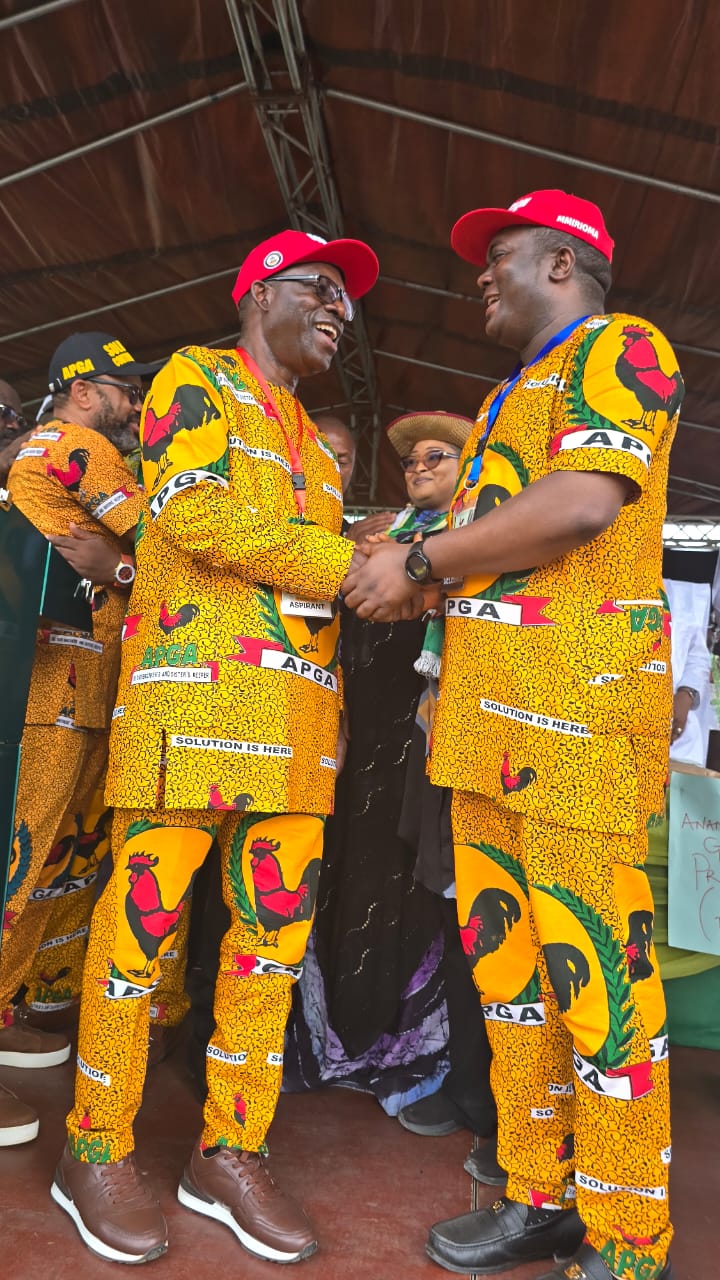 soludos-re-election-bid-unstoppable-ukachukwu-moghalu-no-match-for-anambras-transformational-governance.jpg