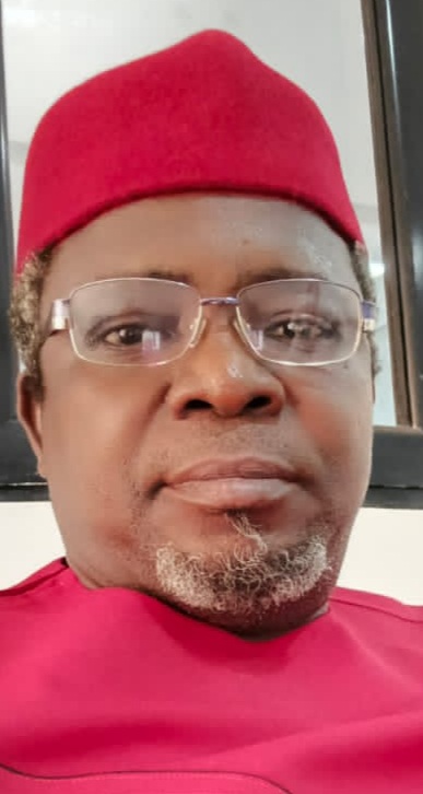 amuwo-odofin-lg-elections-ohanaeze-chairman-chief-ezeunara-calls-for-unity-among-ndigbo.jpg