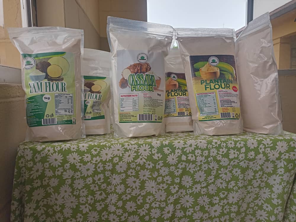 oyo-state-govt-launches-export-ready-food-products.jpg
