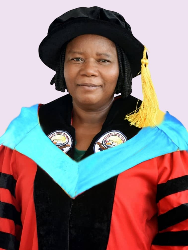 prof-of-history-olugbemi-to-deliver-aauas-40th-inaugural-lecture.jpg