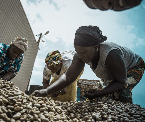 afdb-approves-investment-of-us100-million-in-arise-integrated-industrial-platforms-limited.jpg