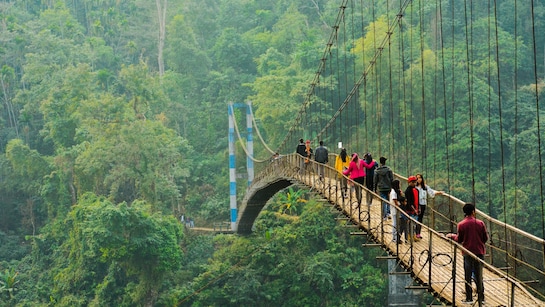 meghalaya-to-strengthen-resident-safety-law-in-wake-of-sohra-honeymoon-murder.jpg