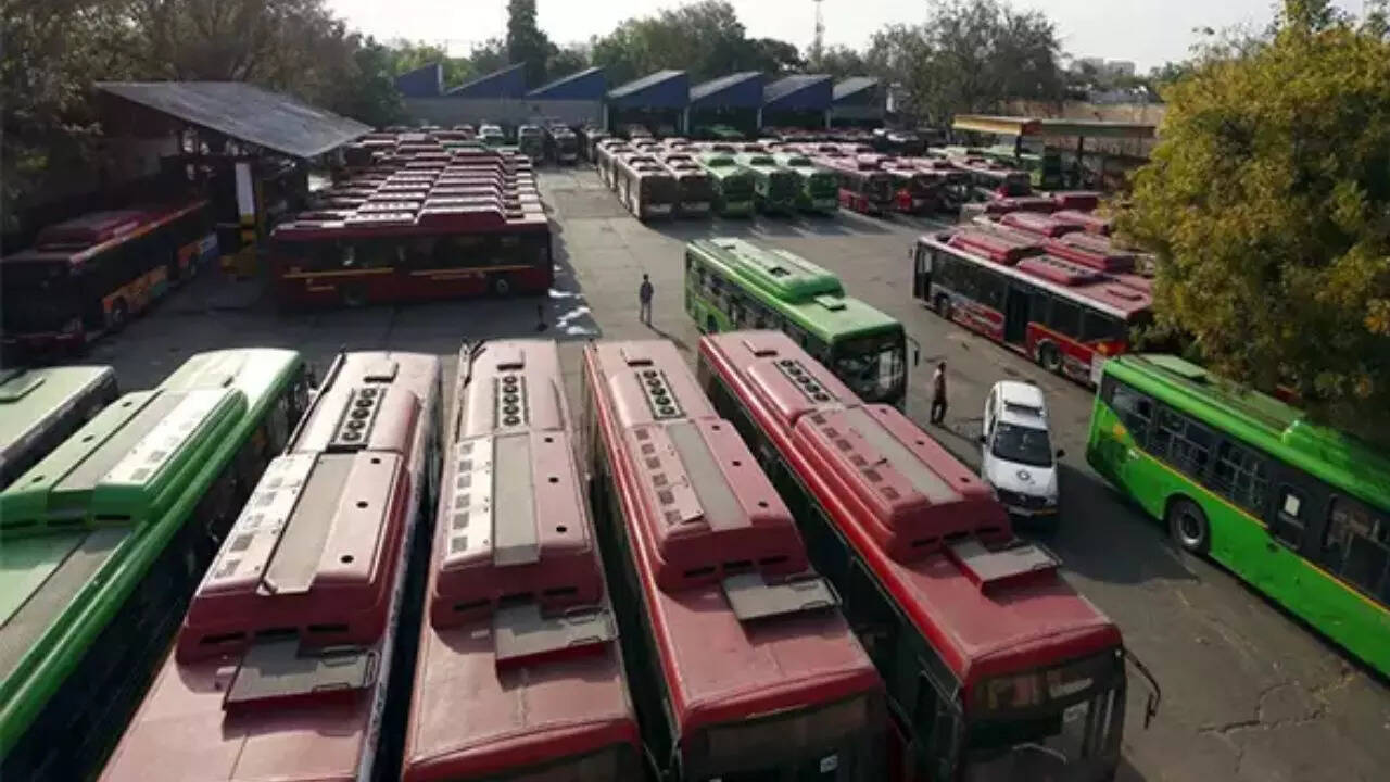 new-ray-of-hope-for-bus-owners-operators.jpg