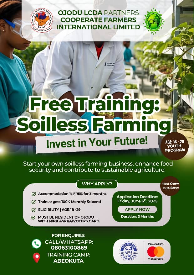ojodu-lcda-organizes-free-training-on-hydroponics-and-soilless-farming.jpg