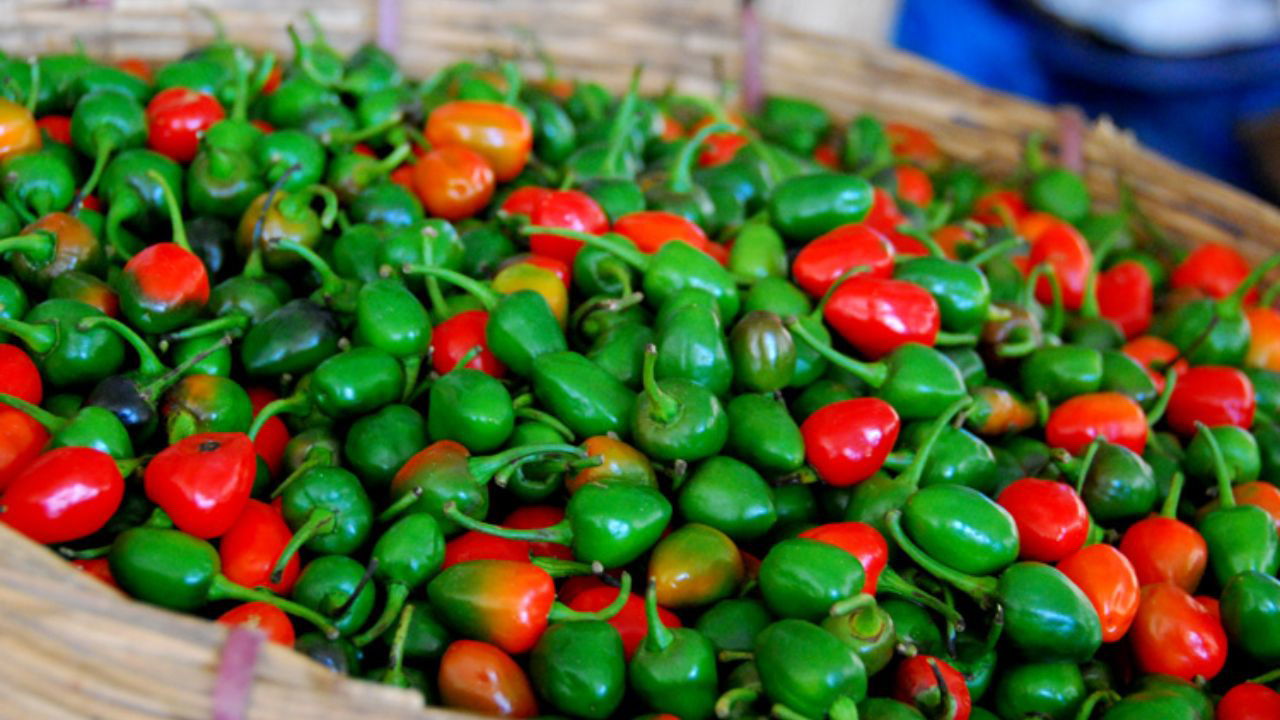 sikkims-dehydrated-dalle-chilli-gains-global-ground-as-second-export-to-solomon-islands-flagged-off.jpg