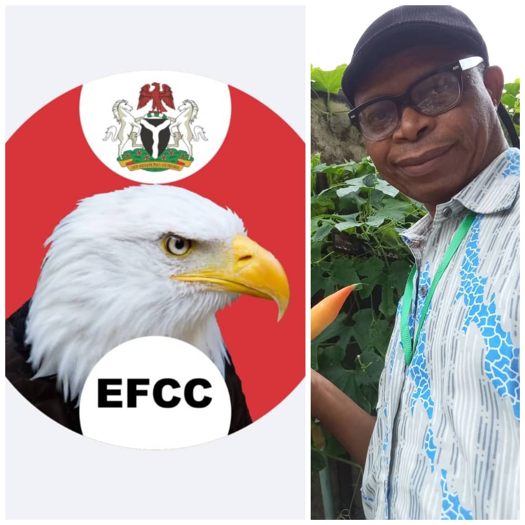 citizen-emenike-and-steve-osujis-campaign-of-calumny-against-the-efcc.jpg