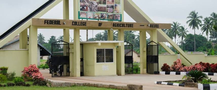 college-of-agriculture-akure-urges-youths-farmers-to-embrace-ai-for-food-security.jpg
