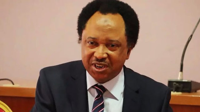 blame-northern-leaders-not-bola-tinubu-shehu-sani-tells-northerners.jpg