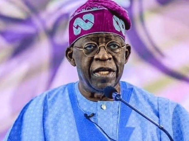 dont-stay-away-from-your-country-bola-ahmed-tinubu-appeals-to-nigerians-in-diaspora.jpg