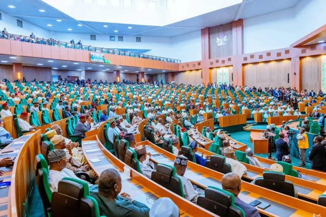 house-of-representatives-launch-probe-into-n1-06tn-ng-cares-social-intervention-programme.jpg