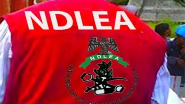 ndlea-arrests-wanted-drug-baron-in-delta-state-seizes-n7-8bn-opioids-in-rivers-state.jpg