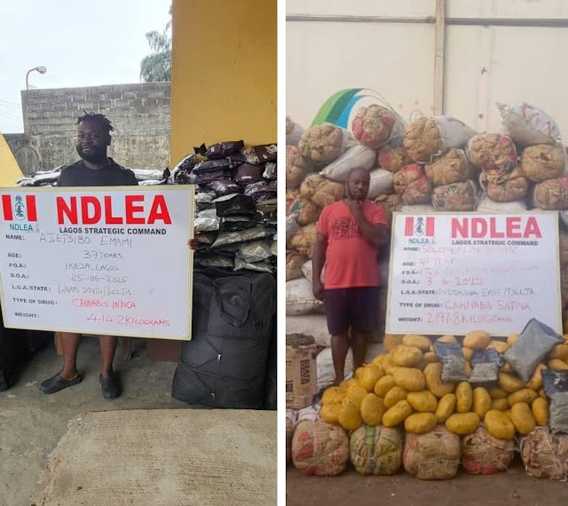ndlea-secures-10-year-jail-terms-for-drug-kingpins-ajetsibo-emami-akpomuai.jpg