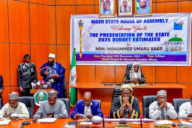 niger-state-house-of-assembly-approves-diaspora-agency-bill-to-strengthen-economic-cultural-ties.jpg
