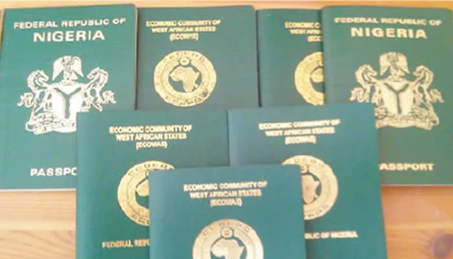 nigerian-missions-in-united-states-engage-diaspora-in-virtual-townhall-address-key-concerns.jpg