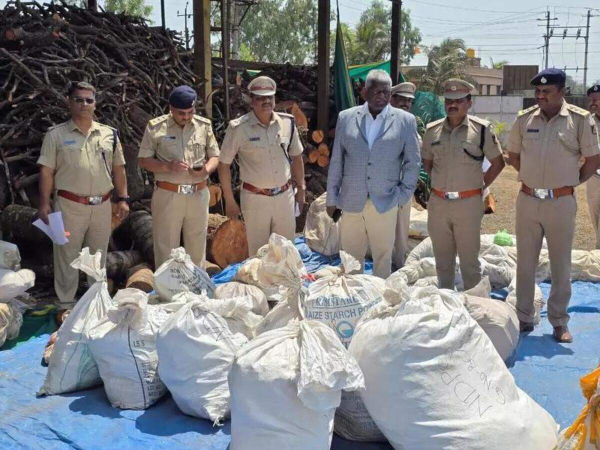 police-seized-drugs-worth-rs-88-crore-in-nashik-range-this-year-556-people-held.jpg