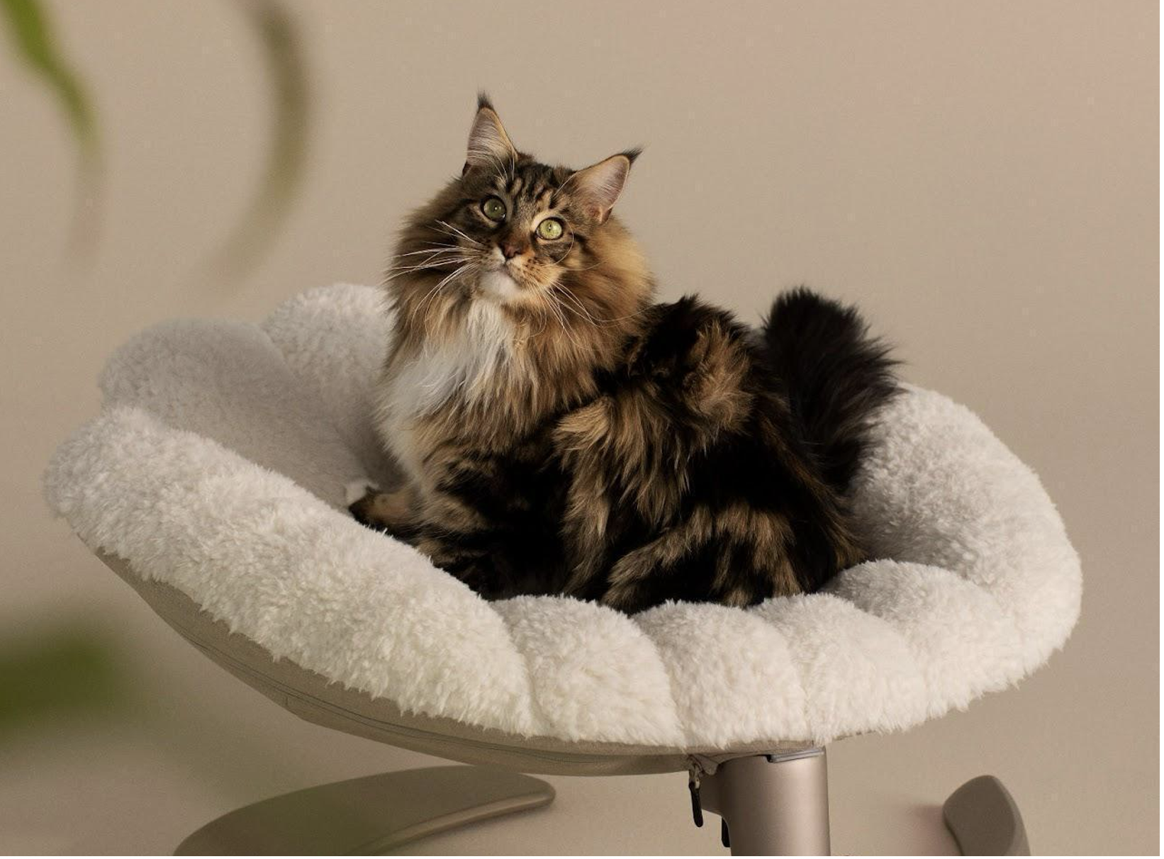 tavo-unveils-the-shell-a-pets-elevated-sanctuary-of-comfort-and-style-tavo-shell.png