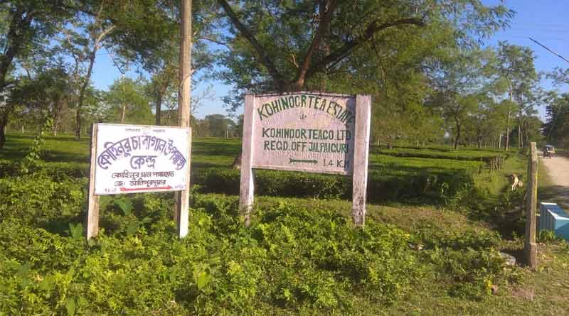 workers-lock-kohinoor-tea-estate-gates-over-unpaid-pf-gratuity.jpg