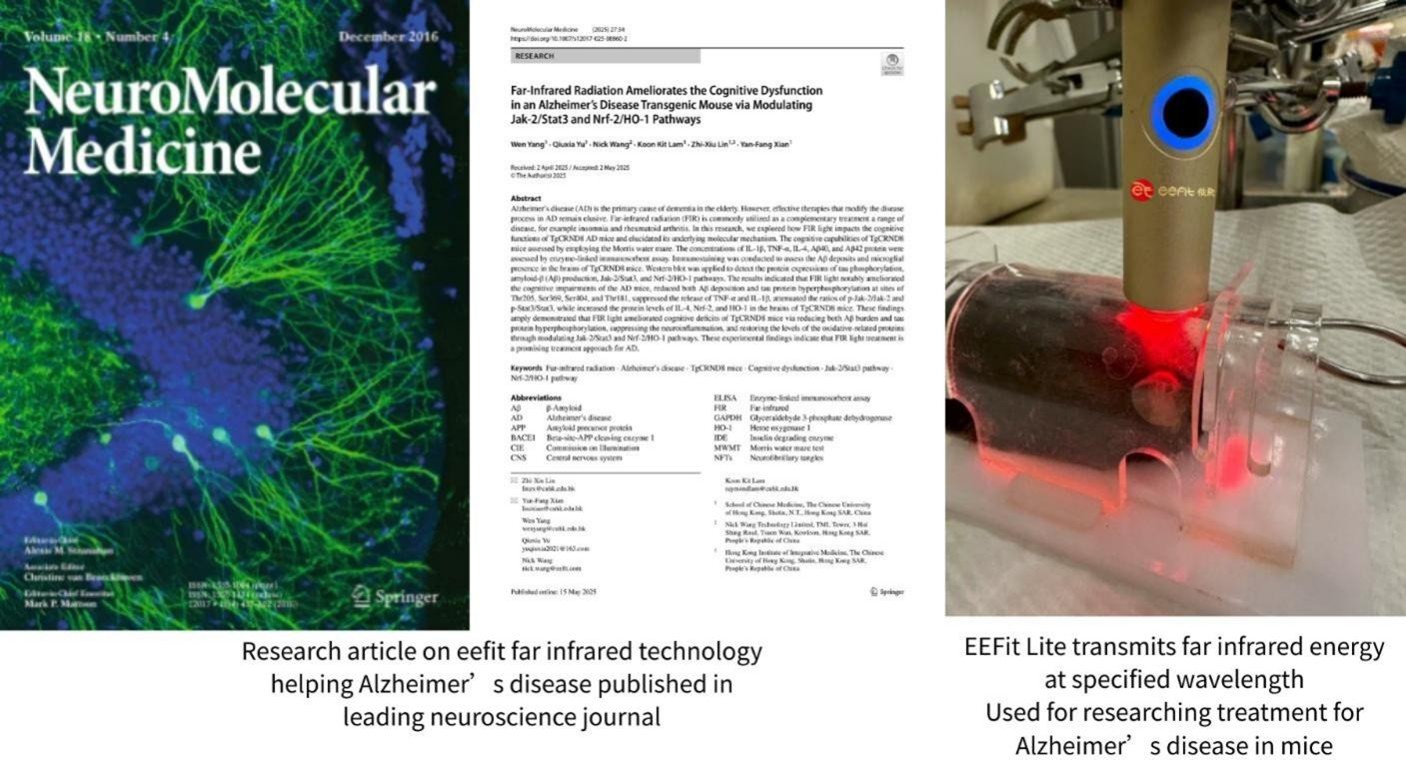 eefit-far-infrared-technology-scientifically-verified-by-renowned-hong-kong-university-improves-two-major-symptoms-of-alzheimers-disease-bringing-new-hope-to-brain-health-protection-picture.jpg