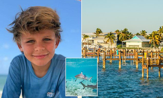 heroic-10-year-old-girl-saves-her-eight-year-old-brother-from-a-shark-attack-in-florida.jpg