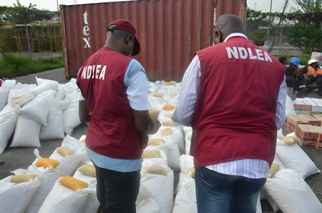 ndlea-launches-nationwide-crackdown-arrests-75-year-old-dismantles-drug-networks-and-seizes-massive-cannabis-haul.jpg