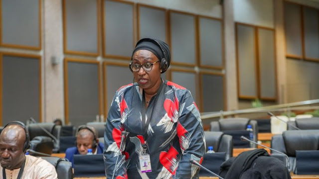 njai-condemns-senates-decision-to-bar-senator-natasha-akpoti-uduaghan-from-resuming-duties.jpg