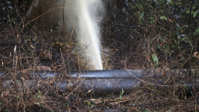 pipeline-shadows-the-devastating-human-and-economic-toll-of-oil-theft-in-nigerias-niger-delta.jpg