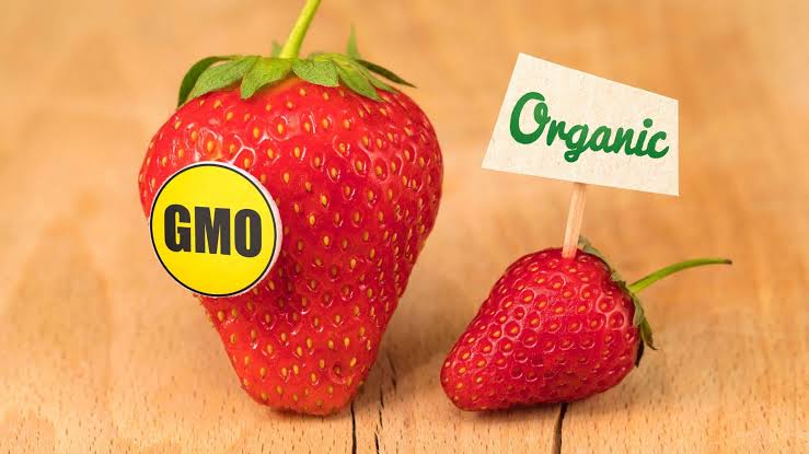 the-gmo-debate-why-africa-should-choose-and-defend-organic.jpg